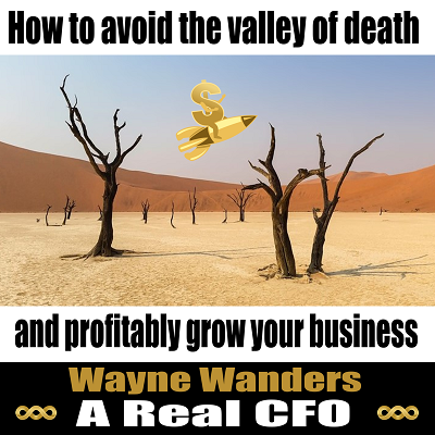 How to avoid the valley of death and profitably grow your business