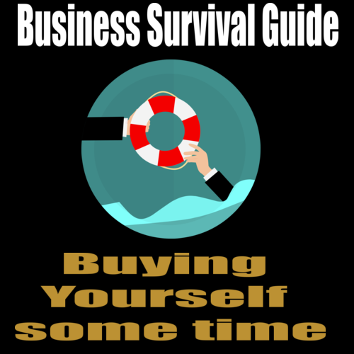 Business Survival Guide – Buying Yourself some time with the Safe Harbour Laws