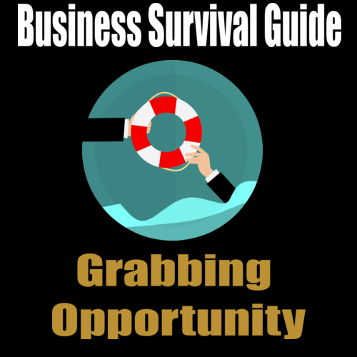 Business Survival Guide – Grabbing Opportunity