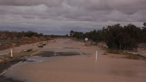 NSW Flood Disaster Recovery Small Business Grant - A Real CFO