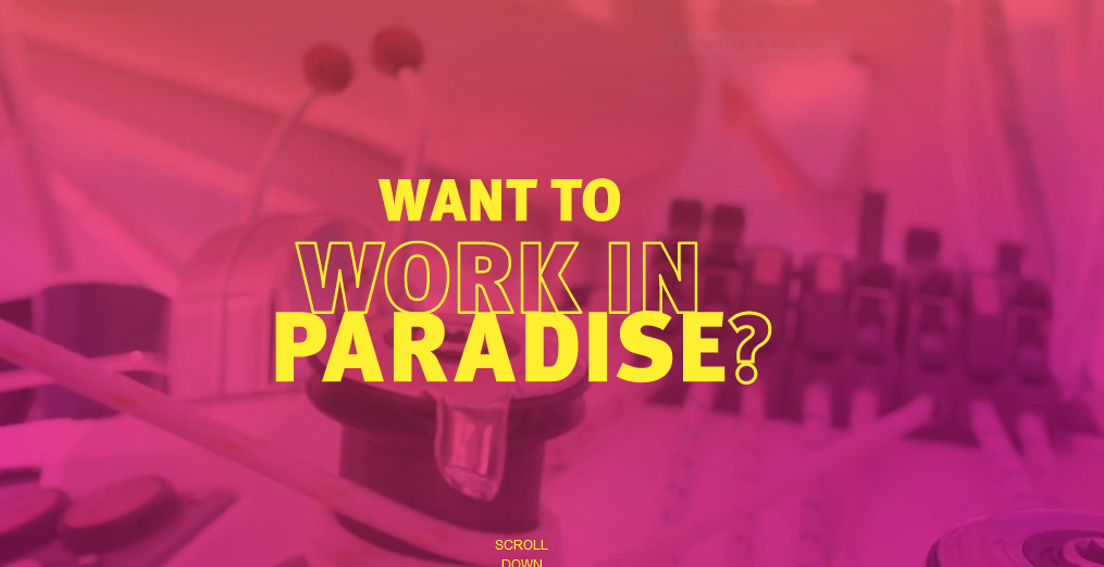 Work in Paradise Jobs Incentive
