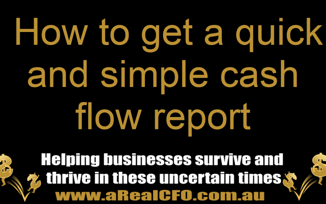Quick and simple cash flow report