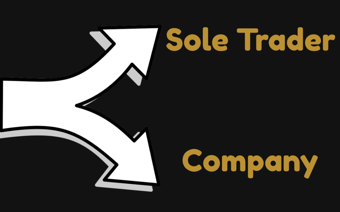 Sole Trader or Company