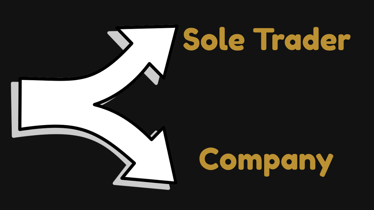 Sole Trader or Company