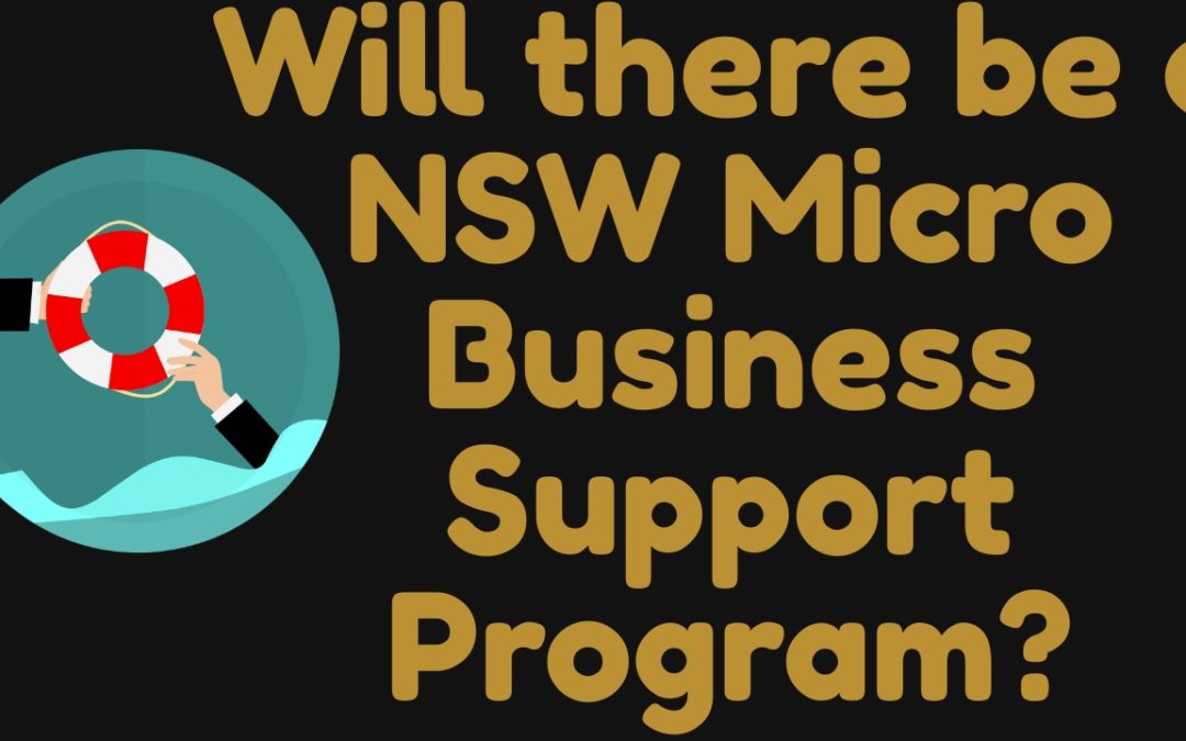 Will there be a Micro Business Support Program?