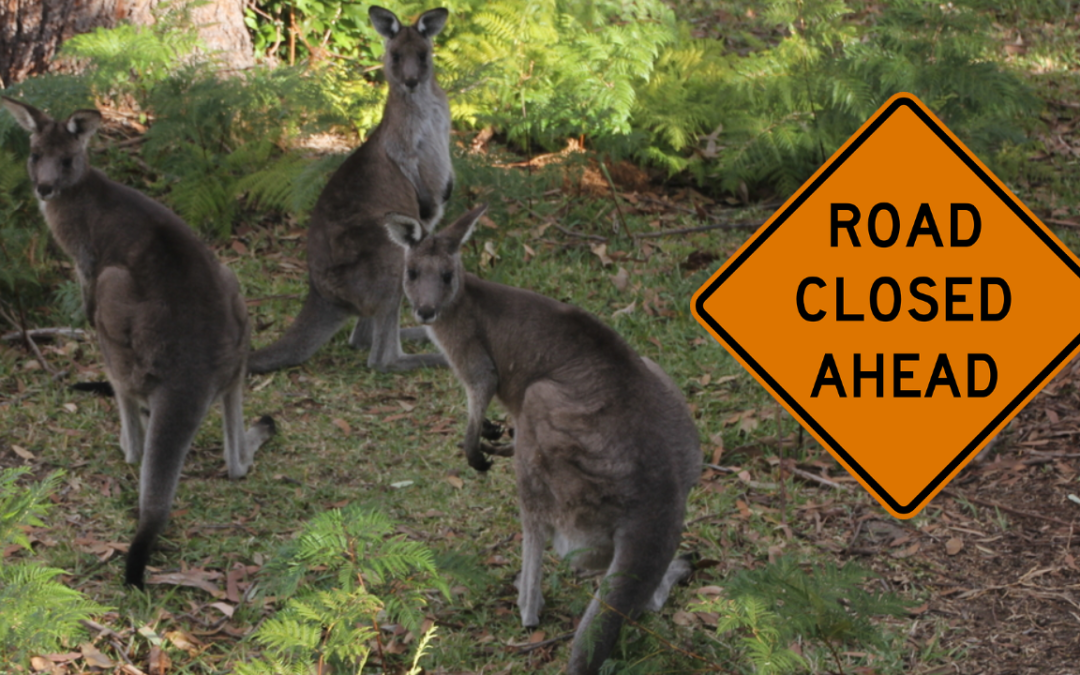 Kangaroo Valley road closure small business grant