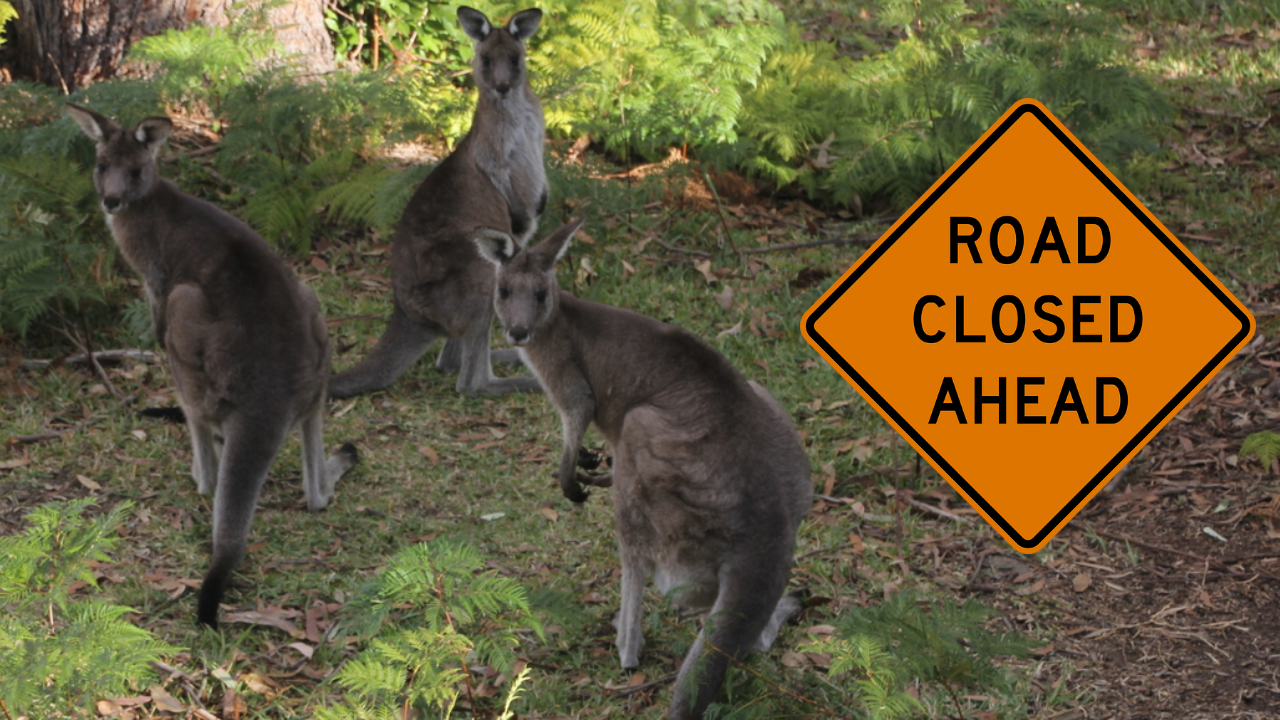 Kangaroo Valley road closure small business grant