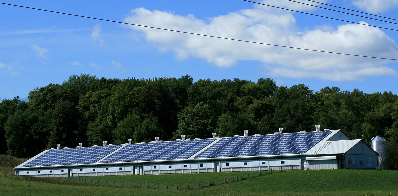 Vic Solar for Business Program