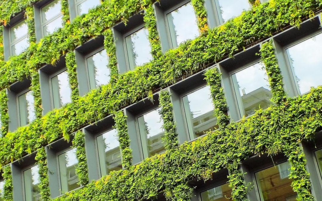 NSW Going Global Export Program Green Building Technologies to Singapore