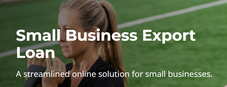 Small Business Export Loan