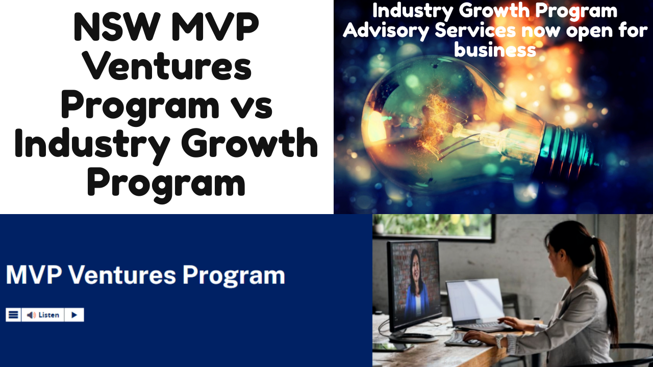 MVP Ventures Program vs Industry Growth Program