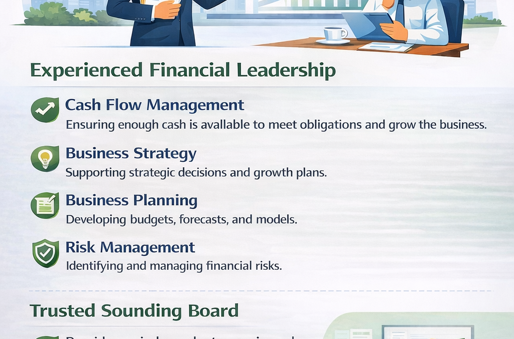 What does a Fractional CFO do?