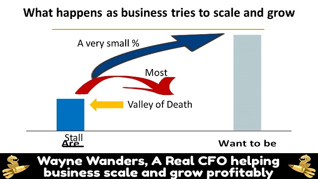 A Real CFO scale and grow profitably 