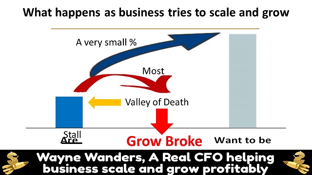 A Real CFO scale and grow profitably 