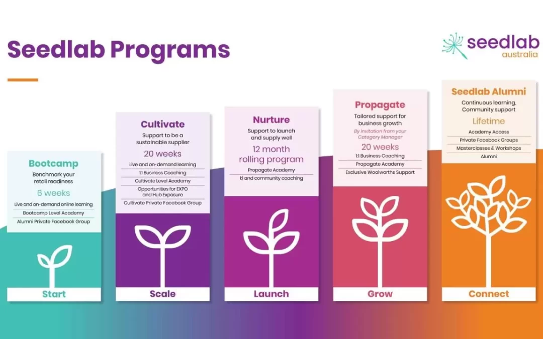 Seedlab Australia Bootcamp Program Round 12